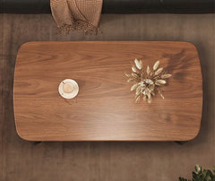 BAYTONA CF004 Modern Walnut Coffee Table with Black Metal Frame & Two-Tier Storage